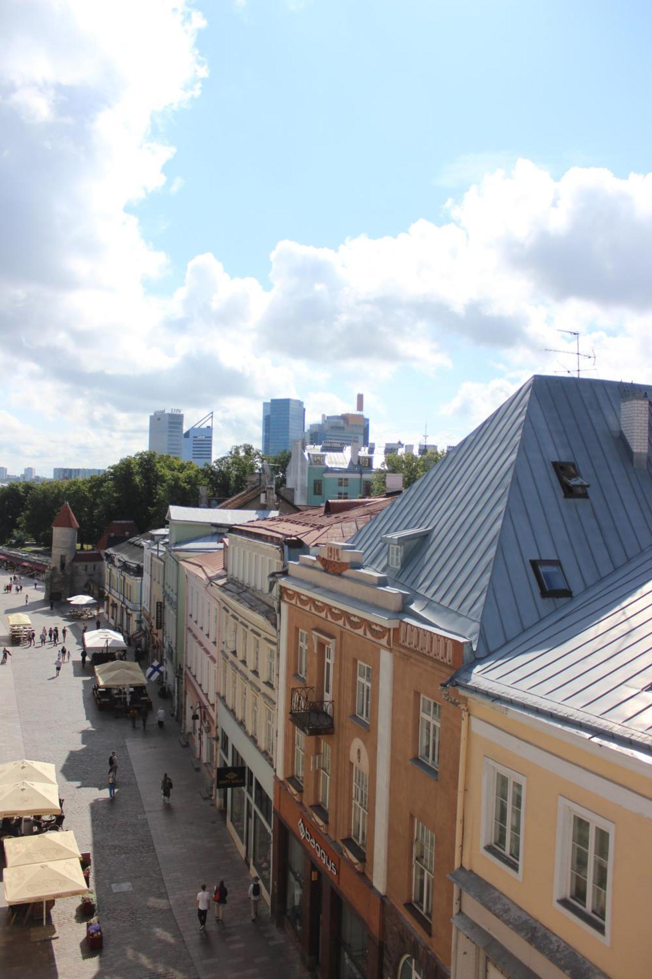 Viru Backpackers Vandrerhjem