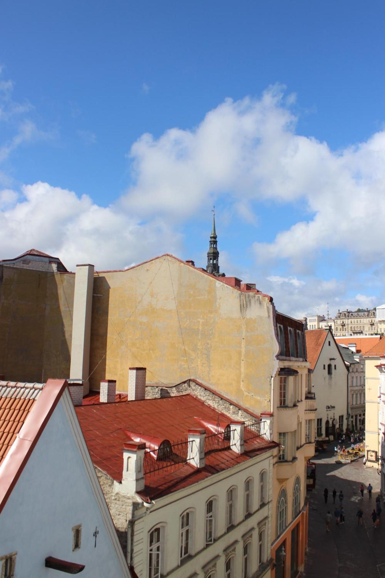 Vandrerhjem Viru Backpackers